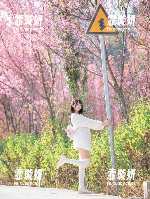 免费领取！nagesa魔物喵图集，忍不住想给它起个名字——画里的小喵星人！