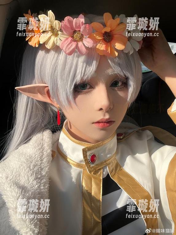 发掘腥味猫罐的高清魅力，壁纸里拥抱不一样的新年。